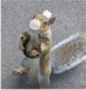 nurse_squirrel